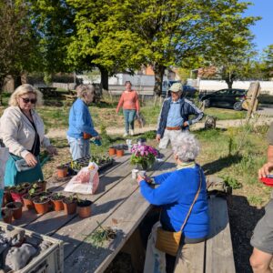 Atelier jardin – Semis, bouturage et marcottage Dimanche 25 octobre – 9h30